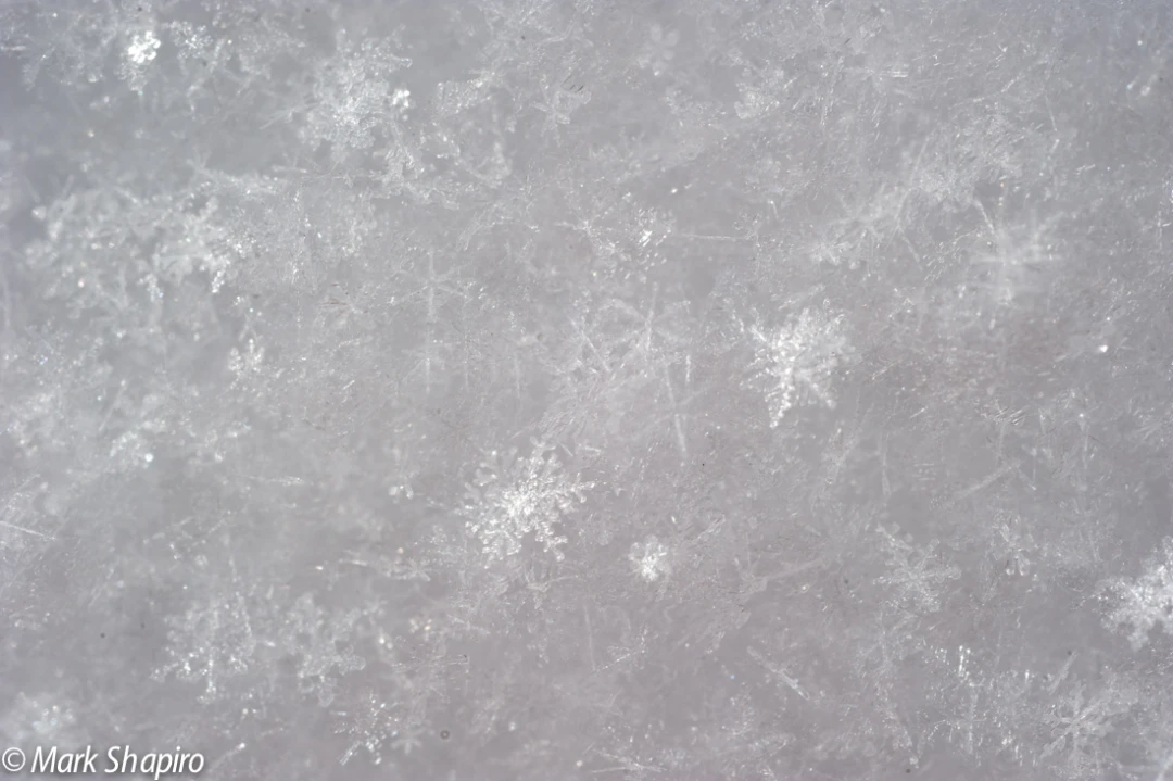 Powder Snow-8