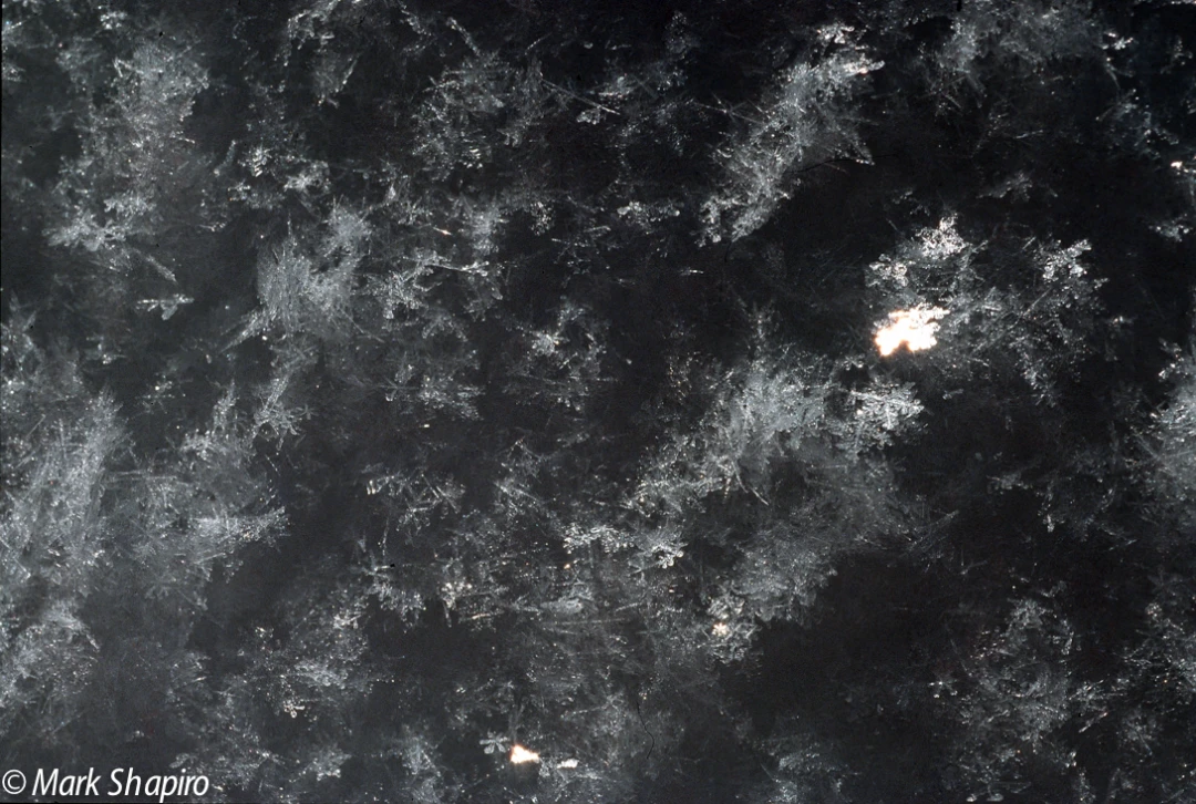 Powder Snow-83