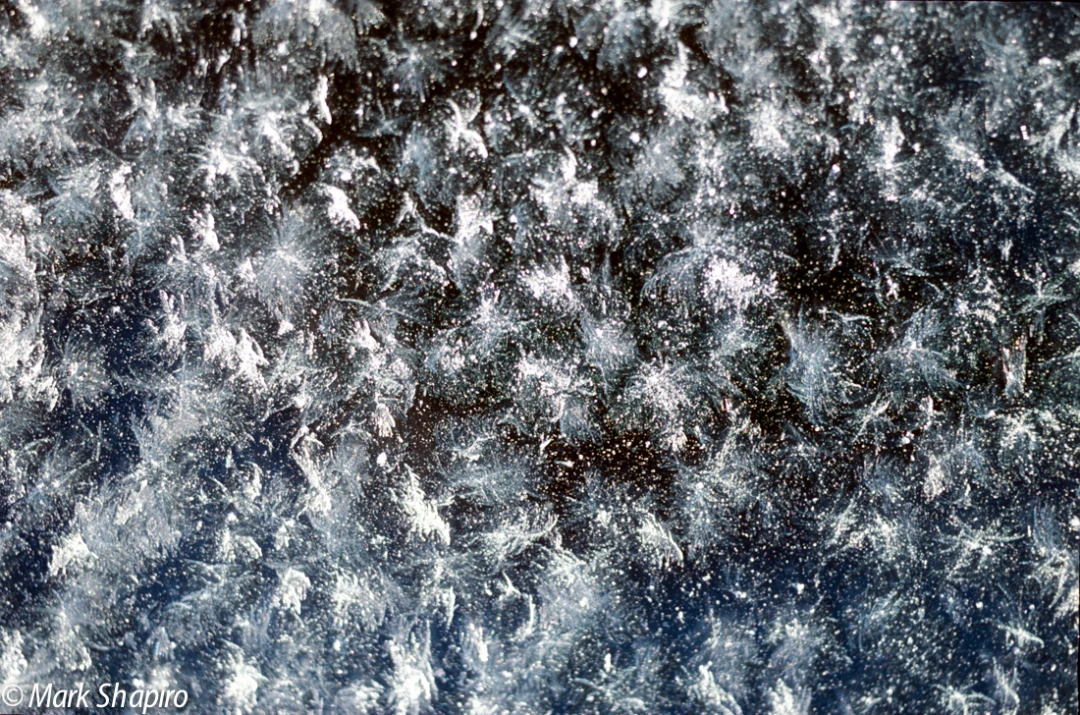 Powder Snow-85
