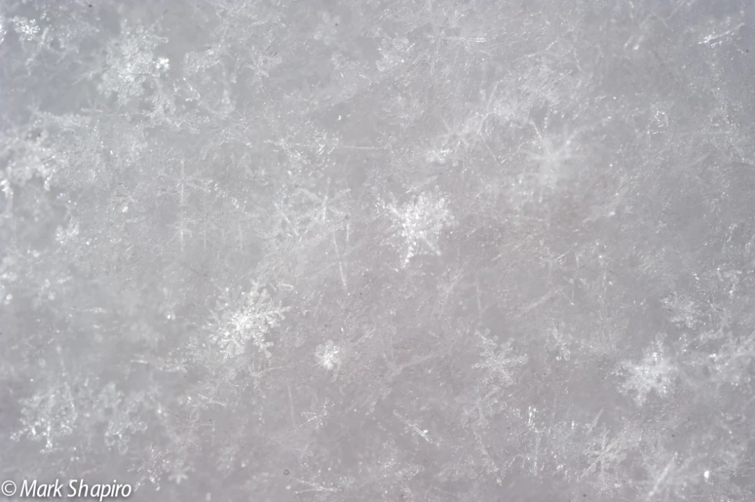 Powder Snow-9