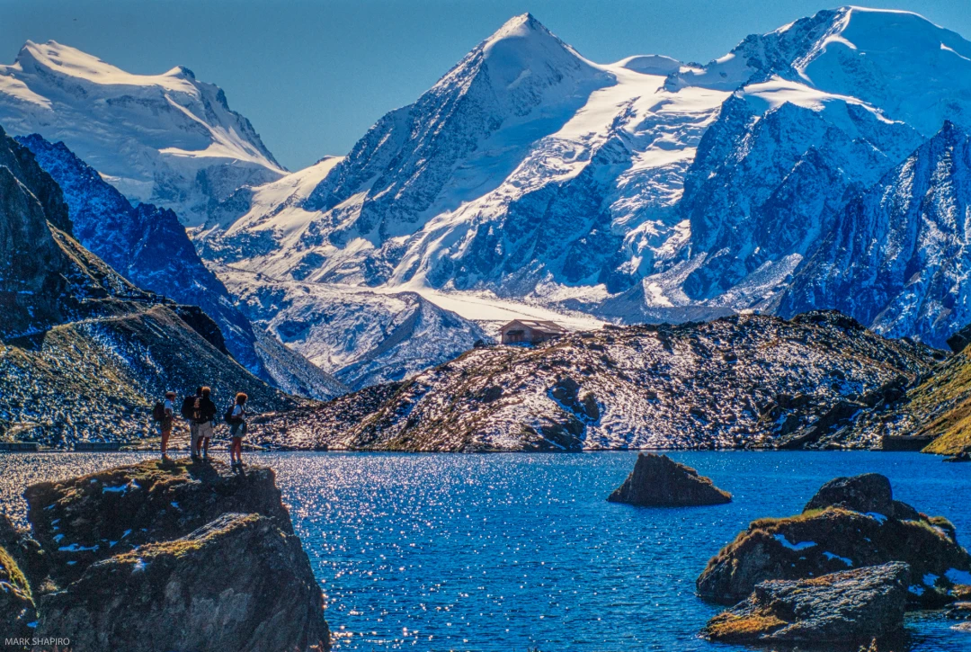 Santier Chamois-Lac du Louvie-93-84