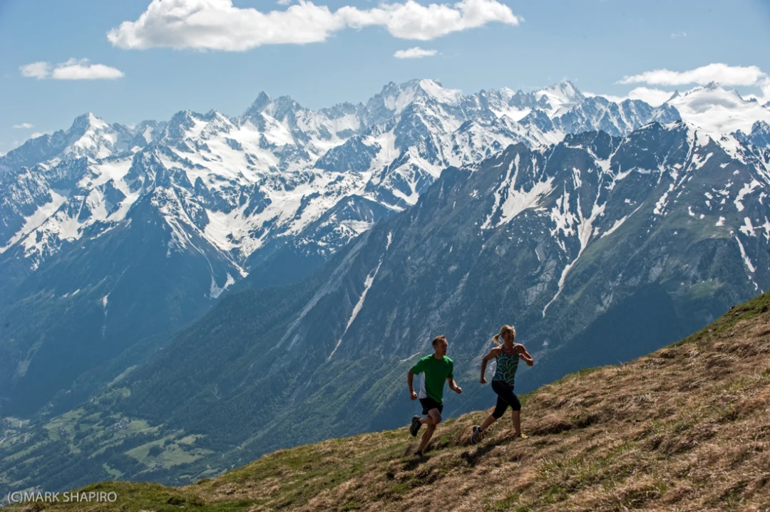Scarpa X Mountain Runners-180