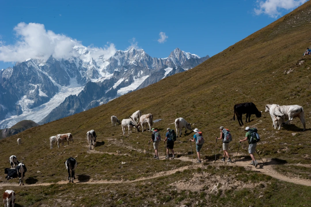 Tour de Mont-Blanc Day2-144