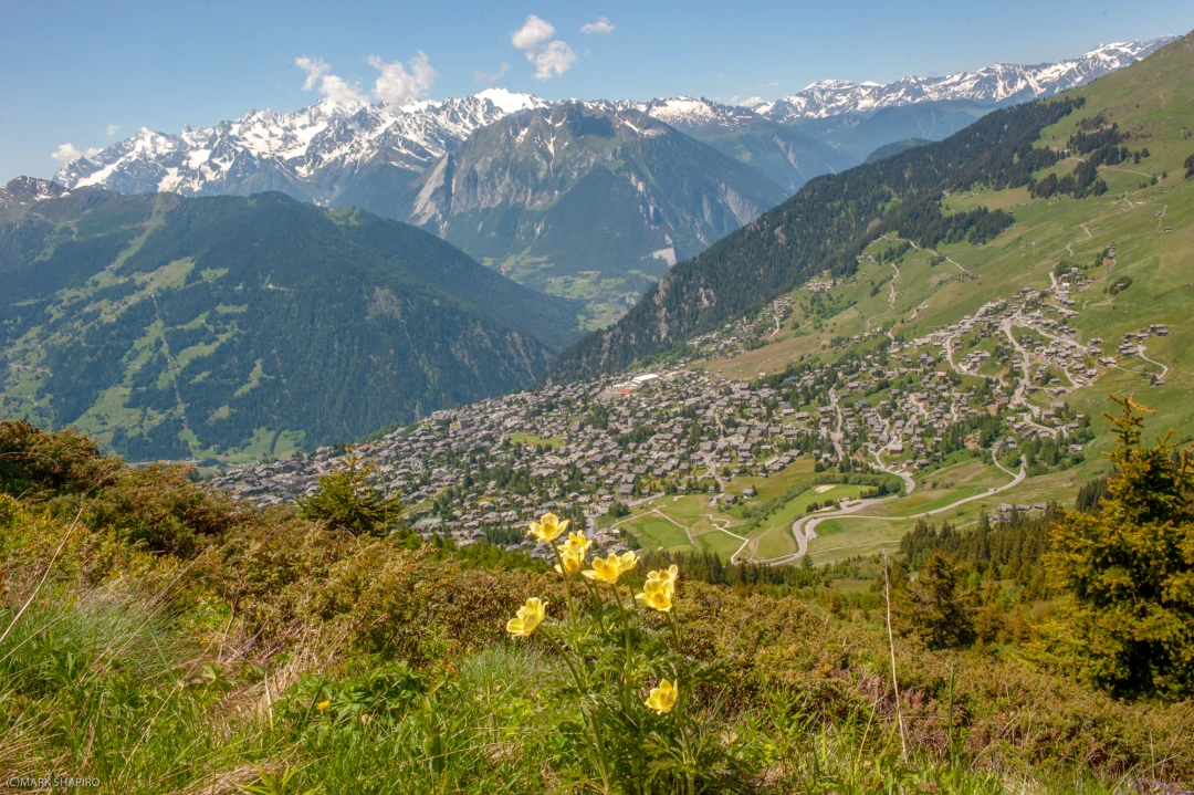 Verbier ambience-609-621