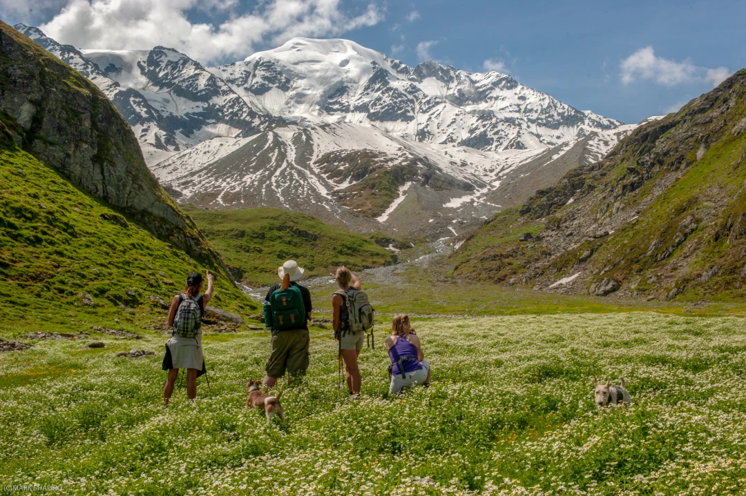 Verbier ambience-614-626