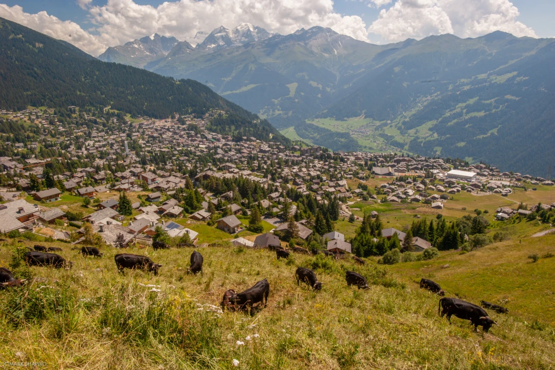 Verbier Spring Summer 2010 -762-1046-52