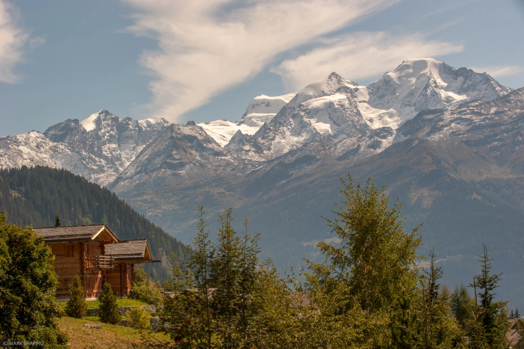Verbier Summer Scenery-111-27