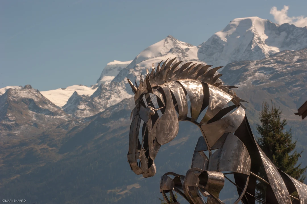Verbier Summer Scenery-113-28