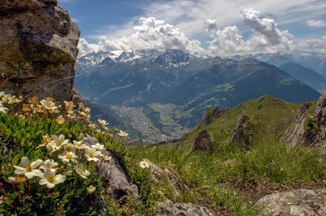 Verbier Summer Scenery-70-22