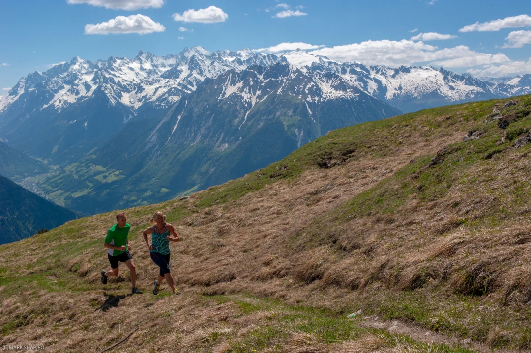 Verbier Summer Scenery04