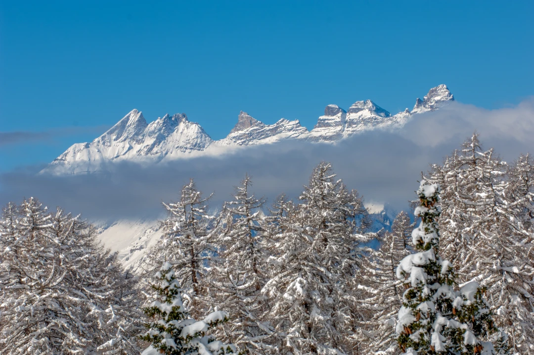 Verbier Winter Scenery-773-1021-34