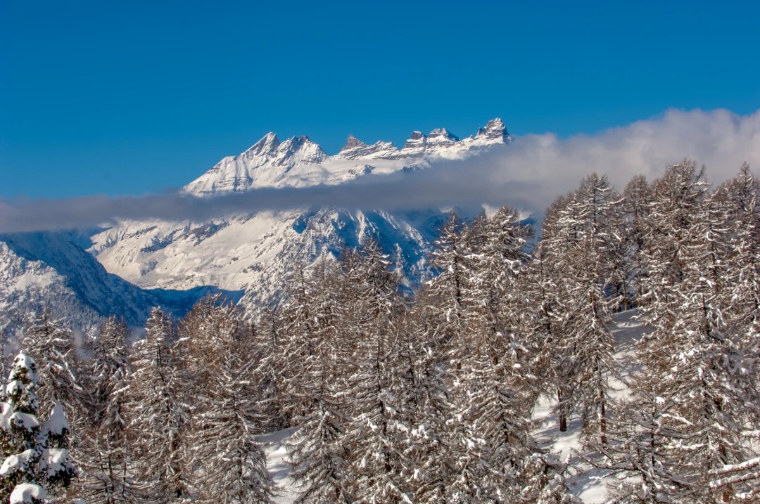 Verbier Winter Scenery-776-1022-35