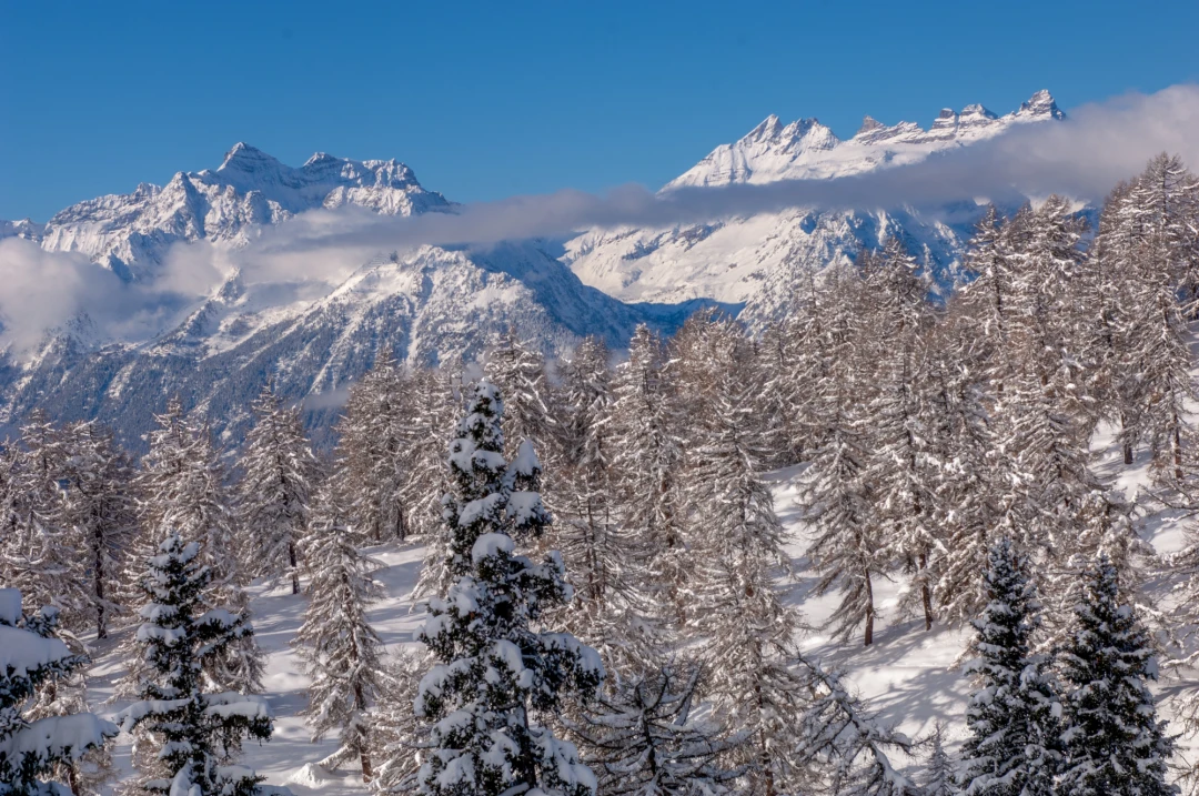 Verbier Winter Scenery-781-1023-36