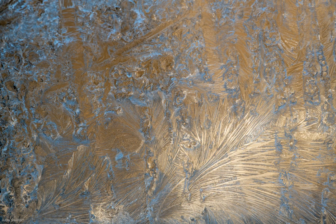 Window frost -703