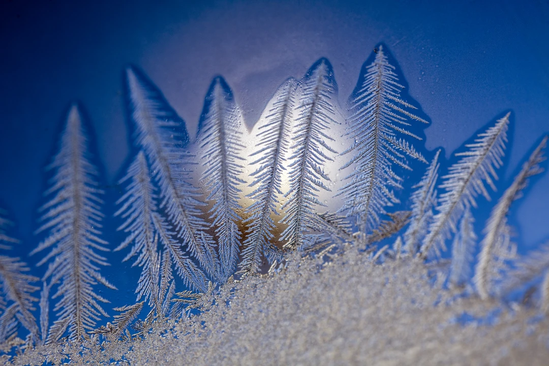 Window Frost-219